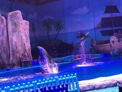 -华夏文旅海洋公园