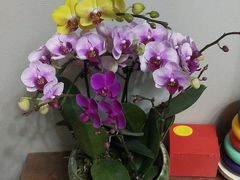 -上康中医脊椎理疗馆