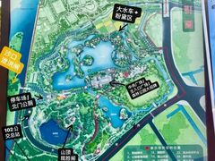 -王借岗森林公园