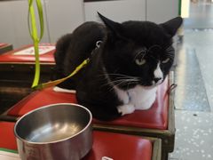 -成都你六姐·牛肉冒菜(城市集市合生汇店)