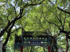 -北京国子监胡同