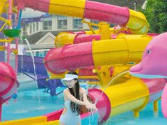 -海合安成都极地海洋公园
