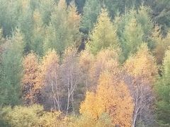 -苏木山森林公园