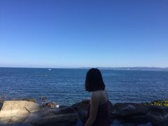 -南紀白浜 浜千鳥の湯 海舟