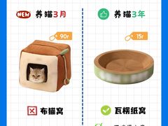 -猫十亿·布偶金渐层·曼基康矮脚猫舍(青年路店)