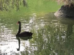 -水磨沟公园