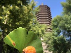 -玲珑塔公园