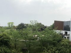 -洪湖悦兮半岛国际温泉度假村