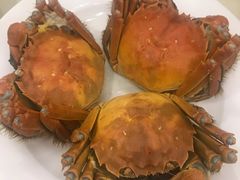 -王宝和酒家(黄浦店)