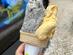 -柠檬车露(卖草地店)