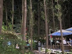 -林间山庄