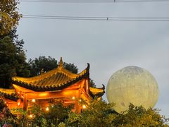 -巴倒烫陆派火锅山庄(南山总店)
