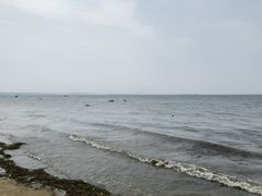 -观澜小洱海