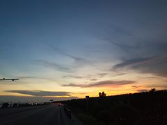 景点-合肥滨湖国家森林公园