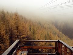 -苏木山森林公园