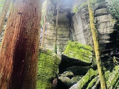 -梭布垭石林景区