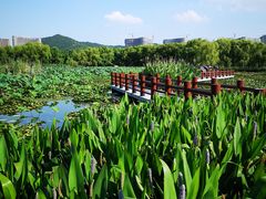-长兴太湖图影湿地文化园