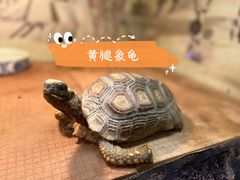 -上海大自然野生昆虫馆(东方明珠·爬宠昆虫探索中心)