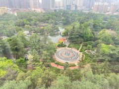 -西苑公园