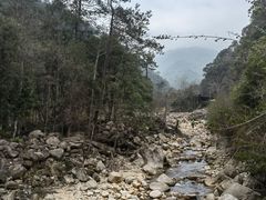 -姑婆山旅游区
