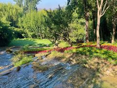 -沂蒙云瀑洞天景区