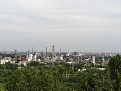 -白水寺森林公园