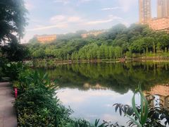 -重庆彩云湖湿地公园