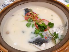-全乐鱼馆·淳牌有机鱼直营店