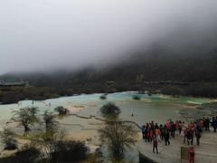 -黄龙山原始森林景区
