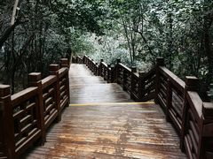 -紫金山山顶公园