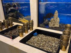 -第六季自助餐厅(北太平庄店)