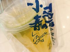 -春丽小马(济南恒隆广场店)