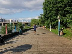 -长白岛森林公园