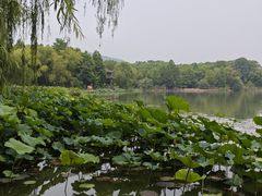 -江南大学(蠡湖校区)