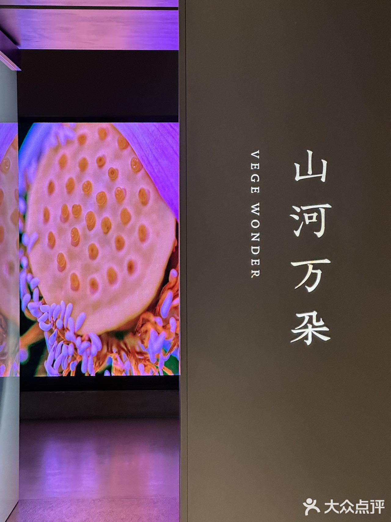 王府井大街王府中环西座2层 0元玩转这座城