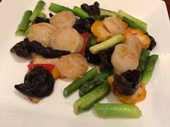 -上海雅居乐万豪侯爵酒店