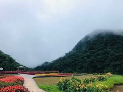 -广州市石门国家森林公园