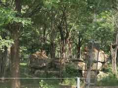 -秦皇岛野生动物园