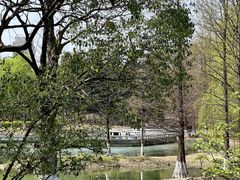 -白塘生态植物园