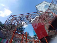 -中国福利会少年宫
