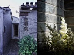 -曲廊院(东四十一条店)