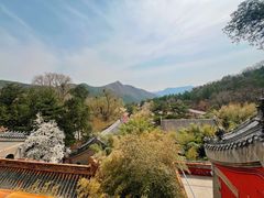 -潭柘寺景区