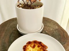 香草蛋酥挞-COFFEEOLOGY咖啡学(天银店)