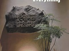 -长春藤咖啡(北园店)