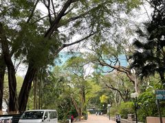 -九龙公园