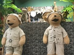 -济州岛泰迪熊博物馆