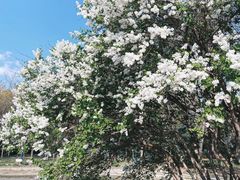 -森林公园(尖草坪区)