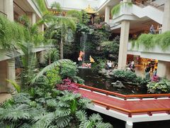 -广州白天鹅宾馆