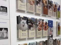 -美联众合动物医院·24h转诊中心