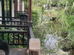 -水底山庄园温泉